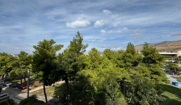 39_1585362785
