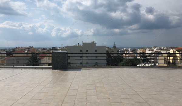 6_379524945
