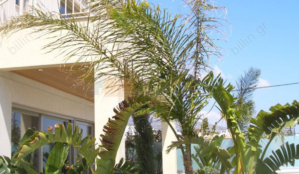 Εξωτερική όψη - Outdoor view